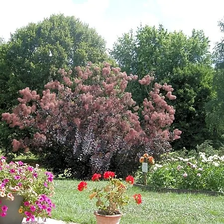 Le Grand Pre Bed & Breakfast