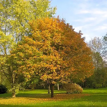 Le Grand Pre Bed & Breakfast Daillancourt